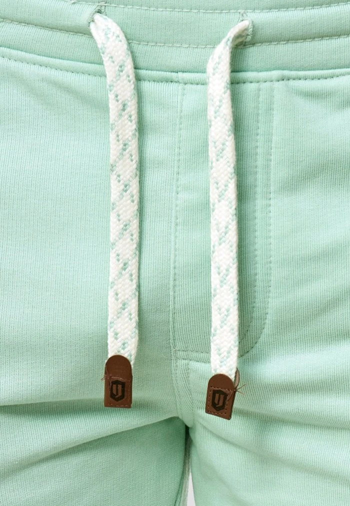 INDICODE JEANS ALDRICH - Short - Surf Spray 4 INDICODE JEANS ALDRICH - Short - Surf Spray â Image 4