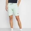 INDICODE JEANS BRENNAN - Short - Quiet Wave
