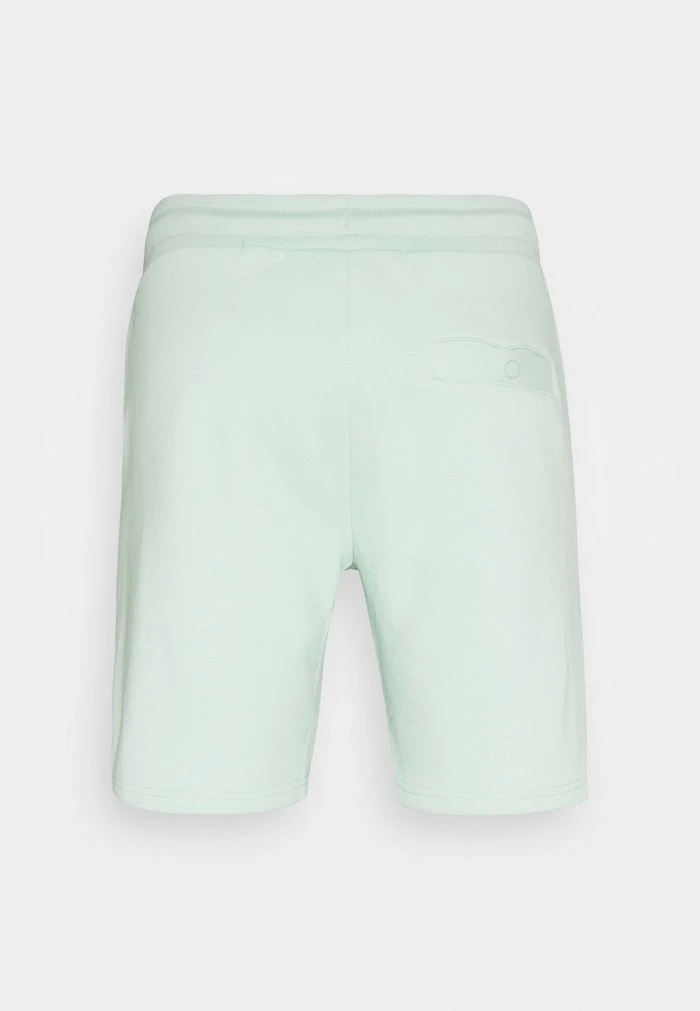 INDICODE JEANS BRENNAN - Short - Quiet Wave 7 INDICODE JEANS BRENNAN - Short - Quiet Wave – Image 7